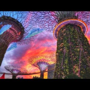 Meet your Posher, Trevor